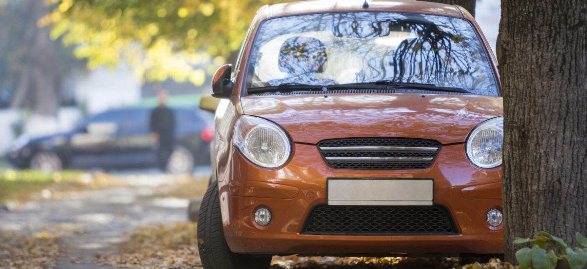 voiture sans permis